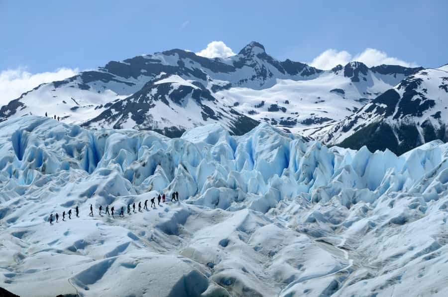 El Calafate: Perito Moreno Glacier Trekking Tour and Cruise - A forest walk and lunch with the glacier in view