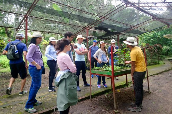 Exclusive Coffee Experience:Tour from Bogotá - From Bogotá traffic to Fusagasugá coffee country