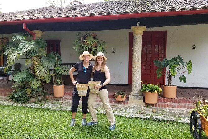 Exclusive Coffee Experience:Tour from Bogotá - What you learn from coffee seedling to roasted bean