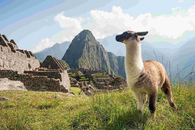 Excursion to MachuPicchu from Cusco with lunch | Private Service| - The return journey to Cusco