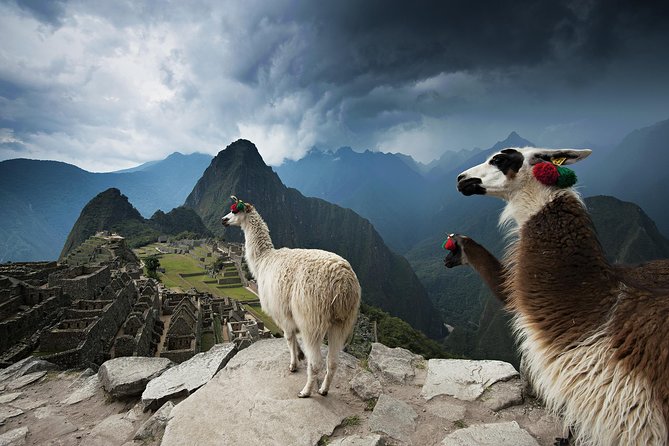 Excursion to MachuPicchu from Cusco with lunch | Private Service| - Before sunrise: hotel pickup in Cusco