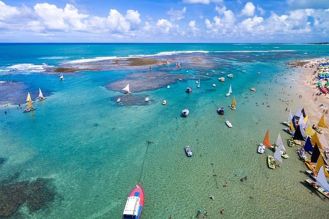 Excursion to Porto de Galinhas in Pernambuco - Key points at a glance