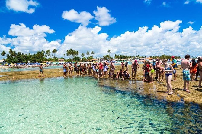 Excursion to Porto de Galinhas in Pernambuco - Why this beach day works from João Pessoa