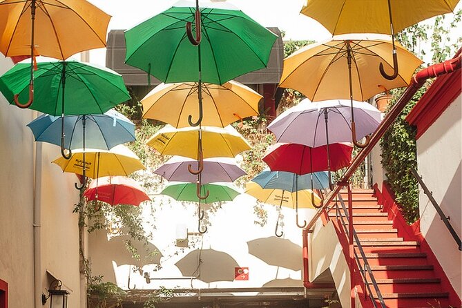 Experience The Essence of Buenos Aires in San Telmo - What the guides add to the walk
