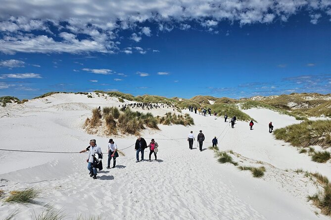 Falkland Islands Shared Tour Sightseeing with Penguins - The Stanley drive fills in the human side