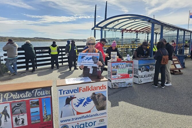 Falkland Islands Shared Tour Sightseeing with Penguins - What $137.80 buys you