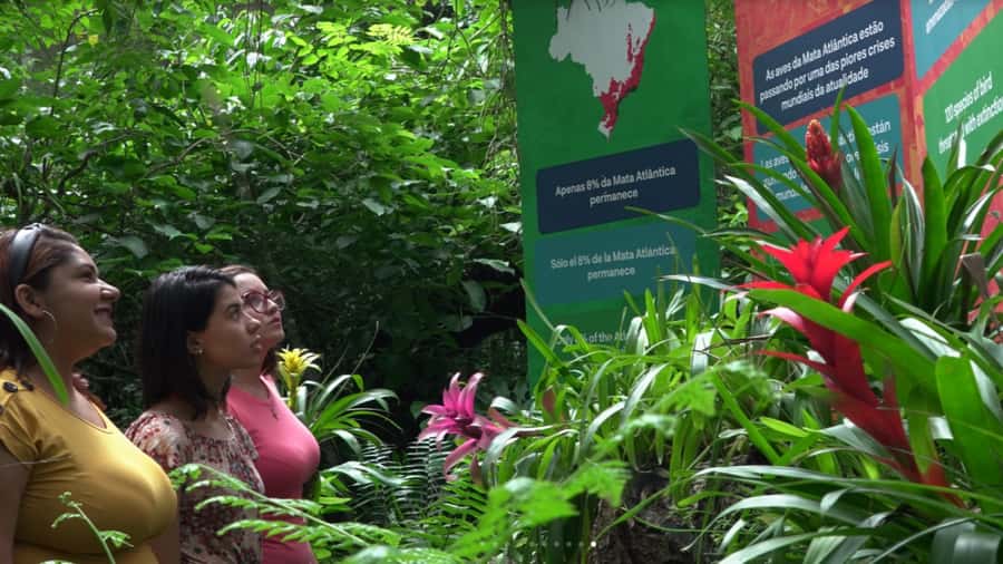 Foz do Iguaçu: Bird Park Tour with Tickets - Language, group size, and guide service