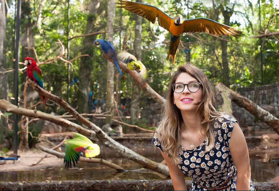 Foz do Iguaçu: Bird Park Tour with Tickets - Who should book this bird park visit?