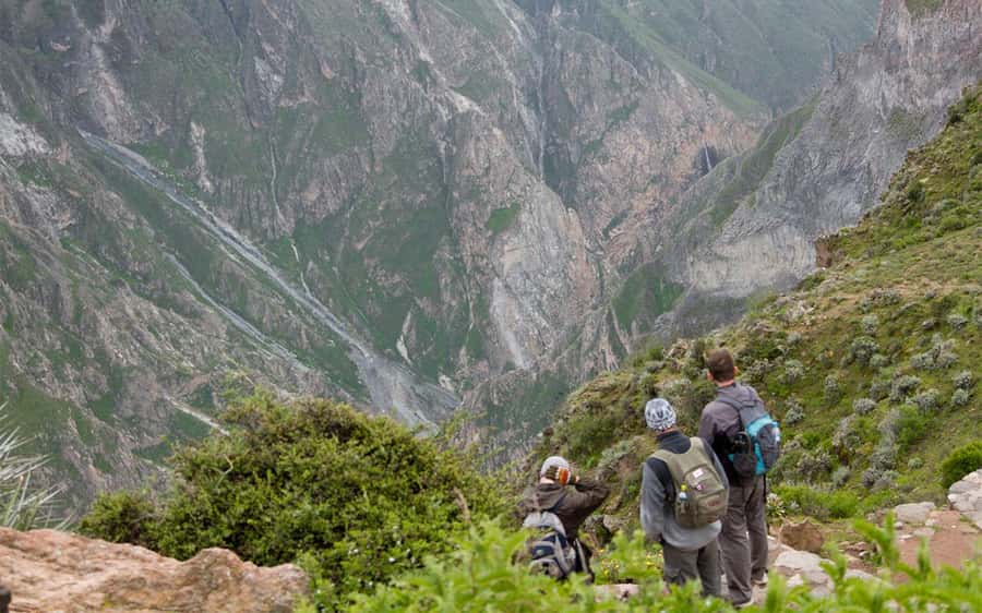 From Arequipa: 2-Day Colca Canyon Trekking Tour - Cruz del Cóndor and the first canyon views