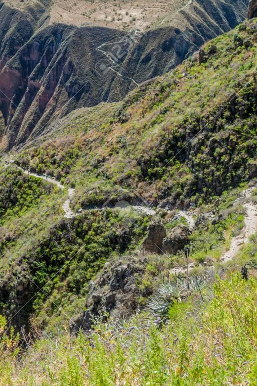 From Arequipa: 2-Day Colca Canyon Trekking Tour - Hot springs, terraces, and the long ride home