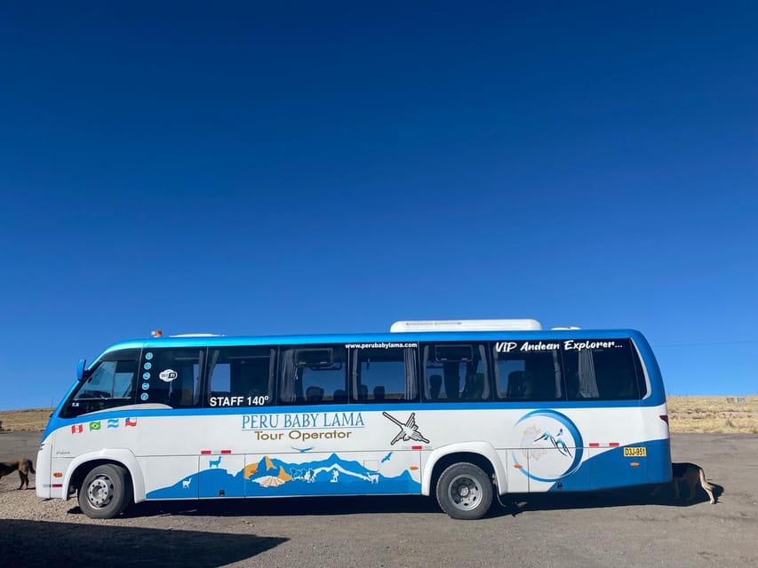 From Arequipa: Colca Canyon Day Trip with Transfer to Puno - Alto Lagunillas and the road toward Puno