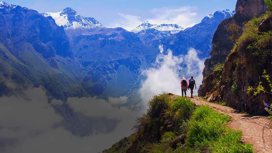 From Arequipa: Colca Canyon Day Trip with Transfer to Puno - Why this Colca Canyon day works as a route to Puno