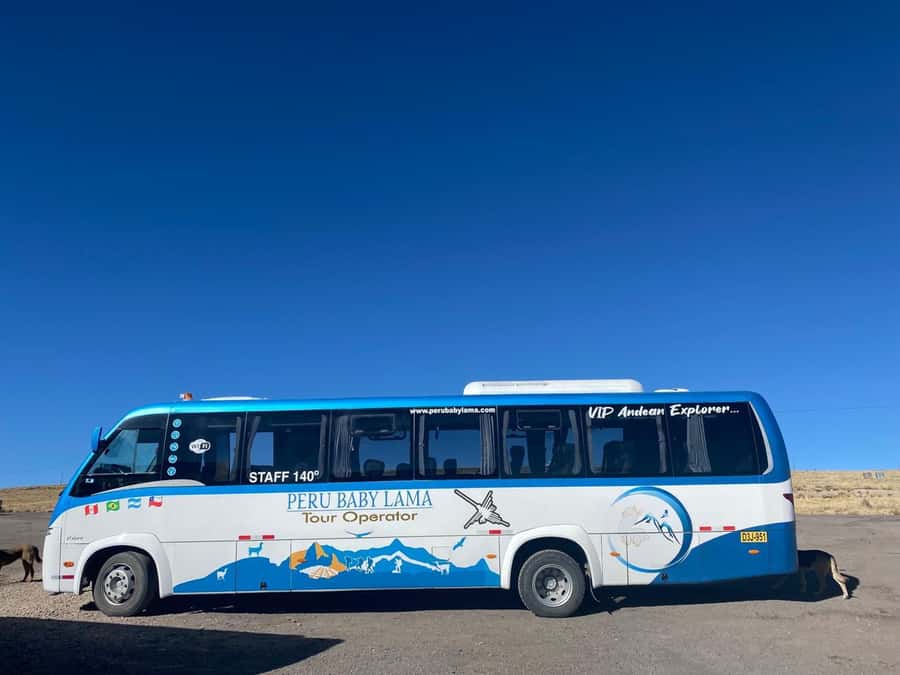 From Arequipa: Colca Canyon Day Trip with Transfer to Puno - Lunch in Chivay and the cost of eating