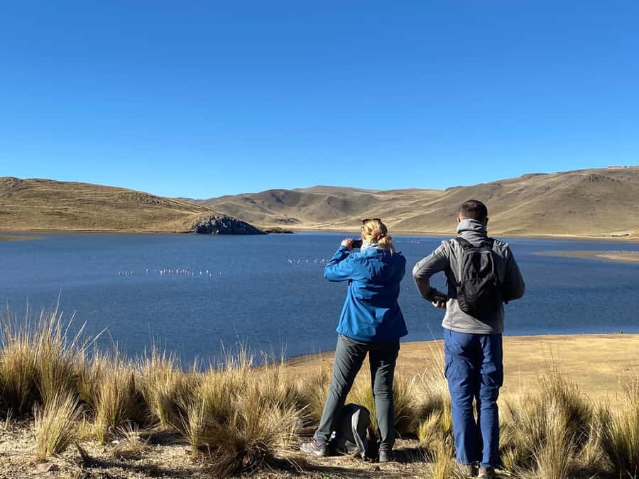 From Arequipa: Colca Canyon Day Trip with Transfer to Puno - Salinas and Aguada Blanca National Reserve