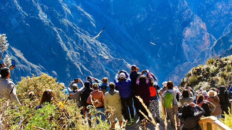 From Arequipa: Colca Canyon Day Trip with Transfer to Puno - Leaving Arequipa before dawn