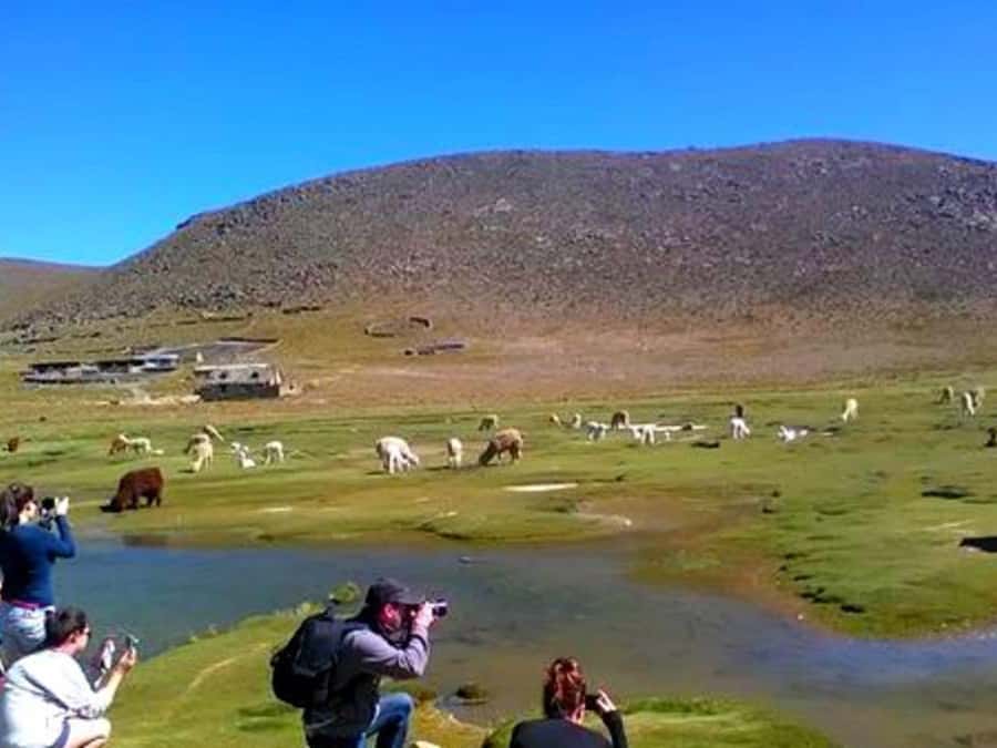 From Arequipa: Full Day Tour of Colca Canyon with Meals - Lunch in Chivay and the extra-cost question