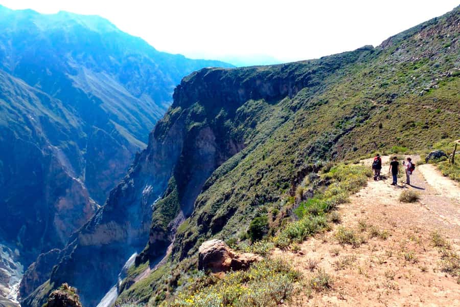 From Arequipa Trek : 2-Days of Hiking in the Colca Canyon - A 3 a.m. start from Arequipa