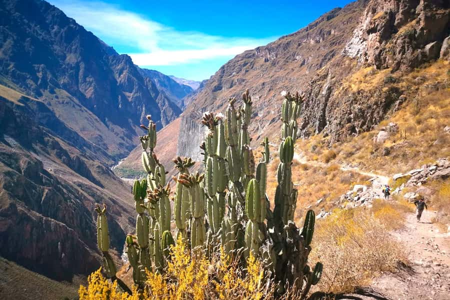 From Arequipa Trek : 2-Days of Hiking in the Colca Canyon - Cruz del Cóndor before the trail