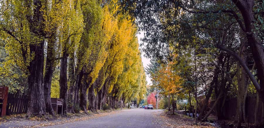 From Bariloche: Chico Circuit & Colonia Suiza Tour - Villa La Angostura and the Seven Lakes road