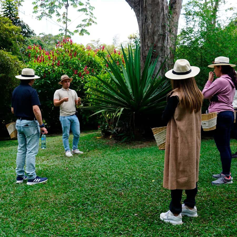 From Bogotá: Coffee Farm and Tequendama Falls Tour - Food, costs, and practical planning
