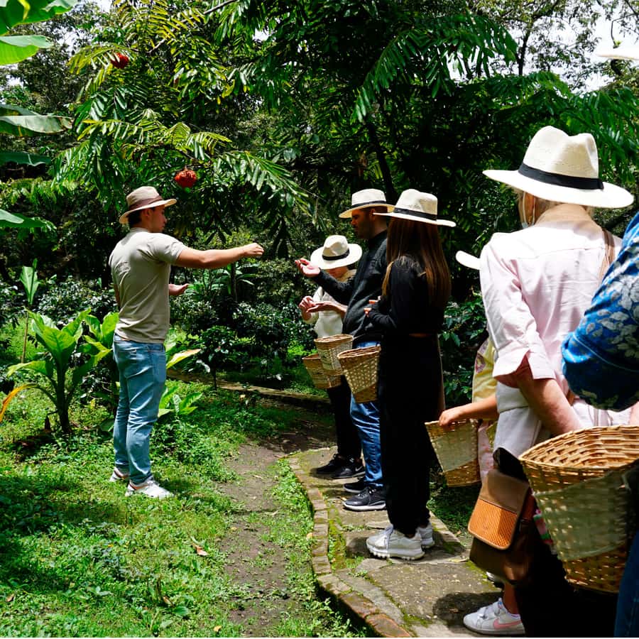 From Bogotá: Coffee Farm and Tequendama Falls Tour - Leaving Bogotá for the countryside