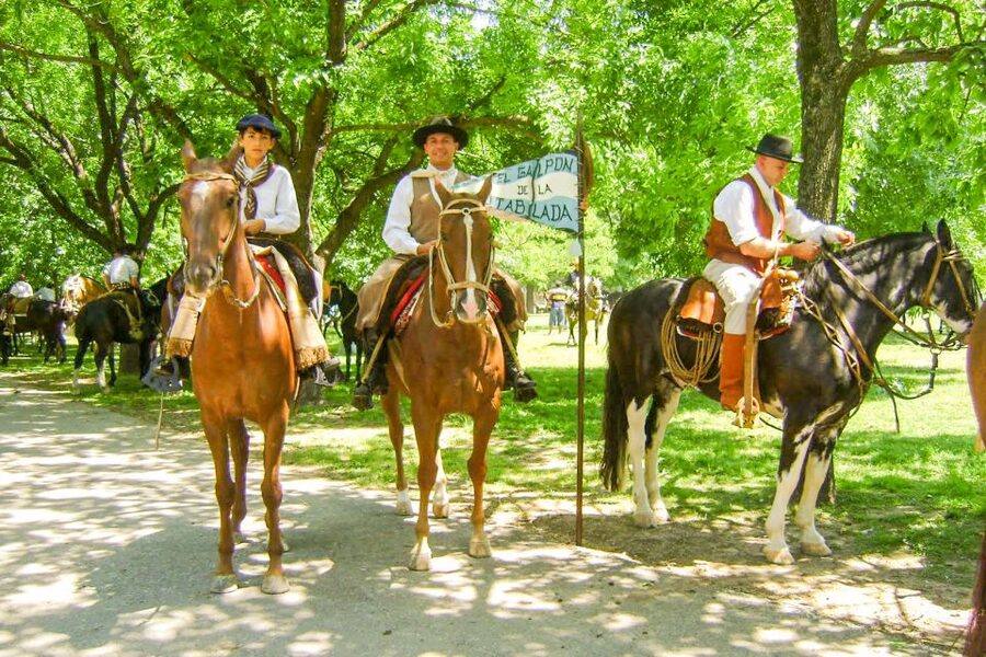 From Buenos Aires: Gaucho and Ranch Day Tour - Folk music, dancing, and gaucho skill