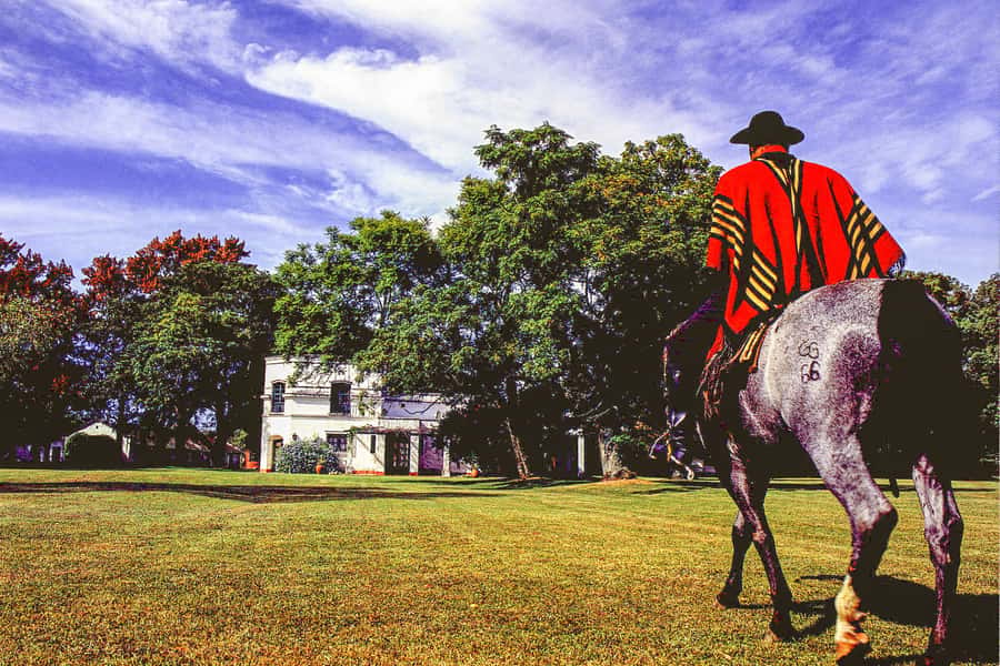 From Buenos Aires: Gaucho and Ranch Day Tour - San Antonio de Areco, a useful first stop