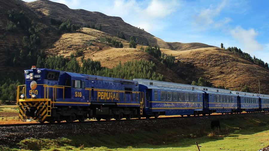 From Cusco: 1-day Machu Picchu Tour by Train - Aguas Calientes and the bus up the mountain