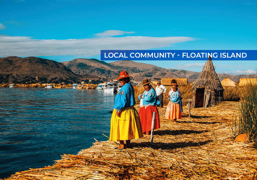 From Cusco: 2-Night Lake Titicaca Excursion - Uros: floating islands, reed boats, and a point to verify