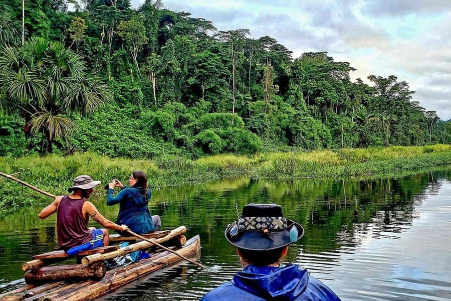 From Cusco: 4-Day Manu National Park Guided Tour - Machuwasi Lake and the night forest