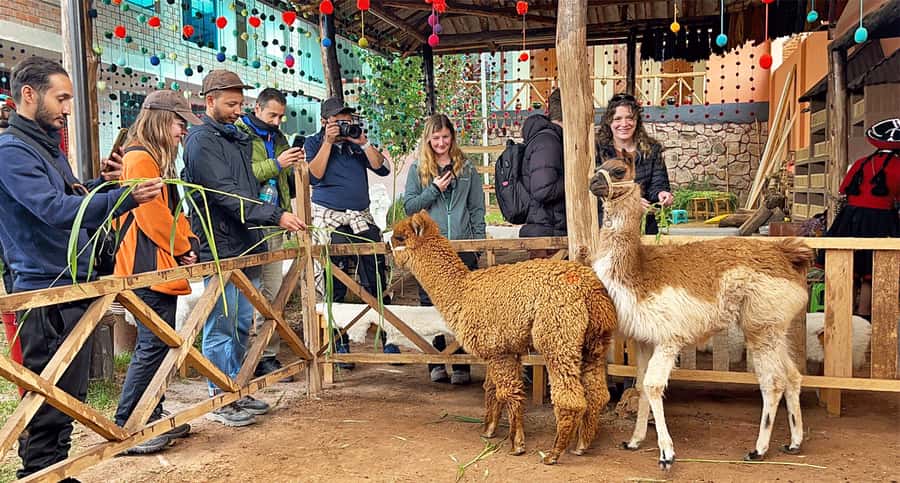 From Cusco: Sacred Valley & Maras Salt Mines Tour with Lunch - Key points at a glance