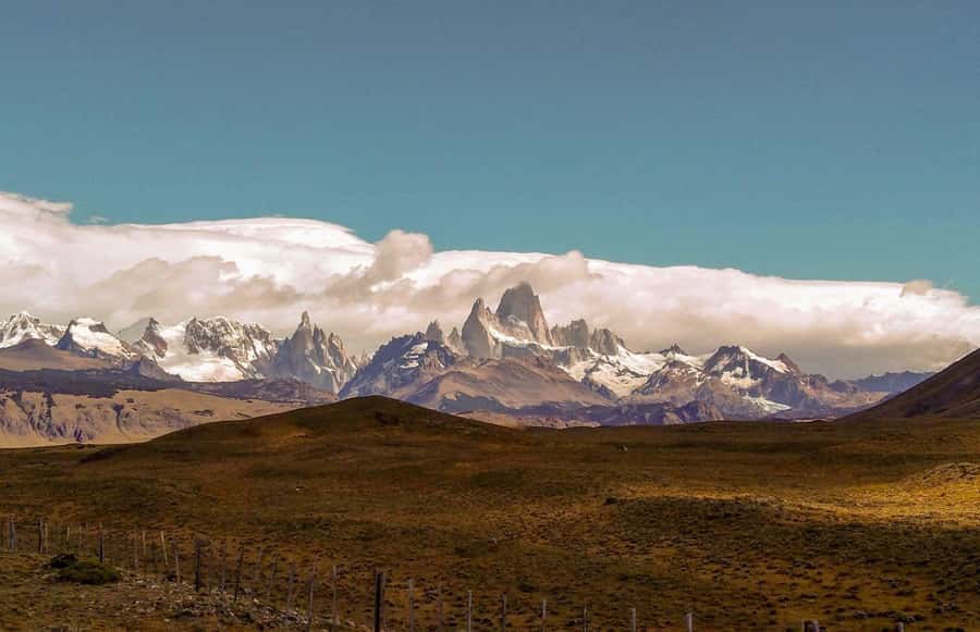 From El Calafate: El Chalten Full-Day Tour and Short Hike - Viedma Glacier, Fitz Roy, and Cerro Torre