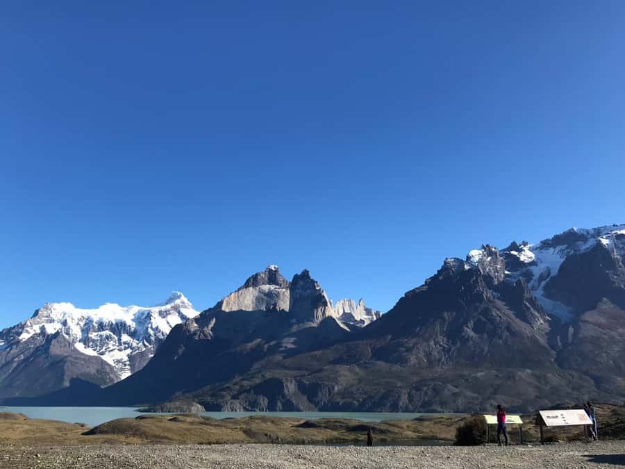 From El Calafate: Torres del Paine Full Day Tour - Lake Pehoé is the closing view