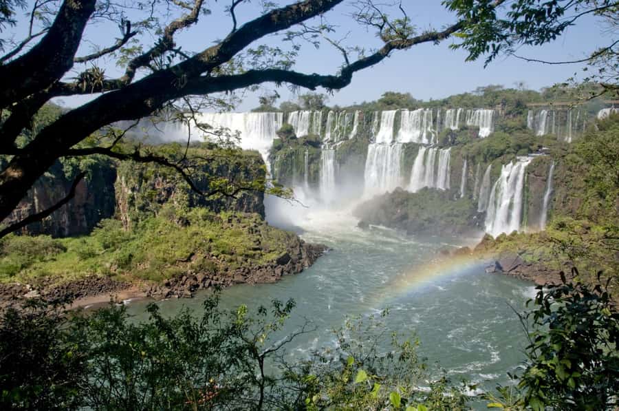 From Foz do Iguaçu: Argentinean Falls Tour with Pickup - The Lower Circuit: closer water and more forest