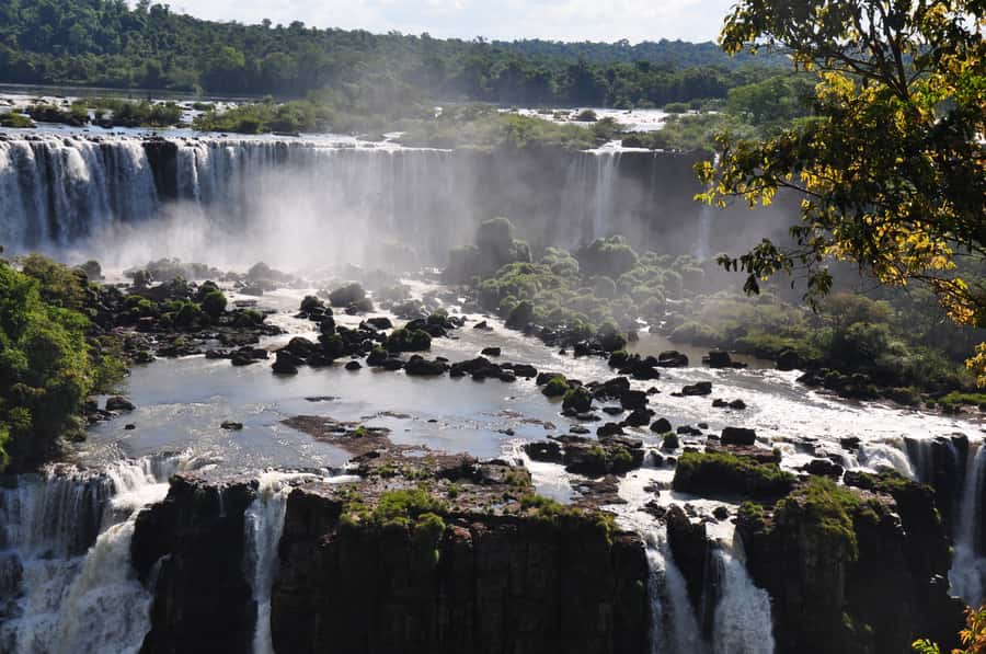 From Foz do Iguaçu: Brazilian Falls and Bird Park Tour - Key points to know