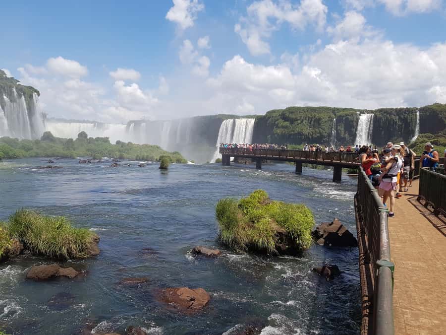 From Foz do Iguaçu: Brazilian Falls and Bird Park Tour - Through 11 kilometers of protected forest