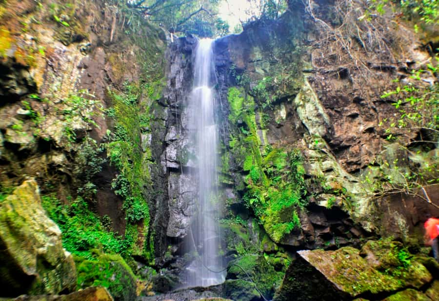From Foz do Iguaçu: Secret Falls Adventure - Five waterfalls beyond the usual Foz do Iguaçu view