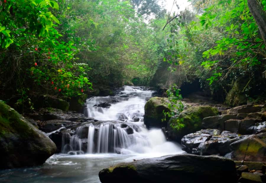 From Foz do Iguaçu: Secret Falls Adventure - Swimming pools, river water, and the natural jacuzzi
