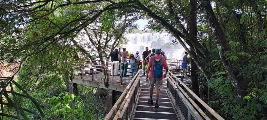 From Foz do Iguaçu: Tour to Argentinian Falls - The Upper Circuit, with falls below you