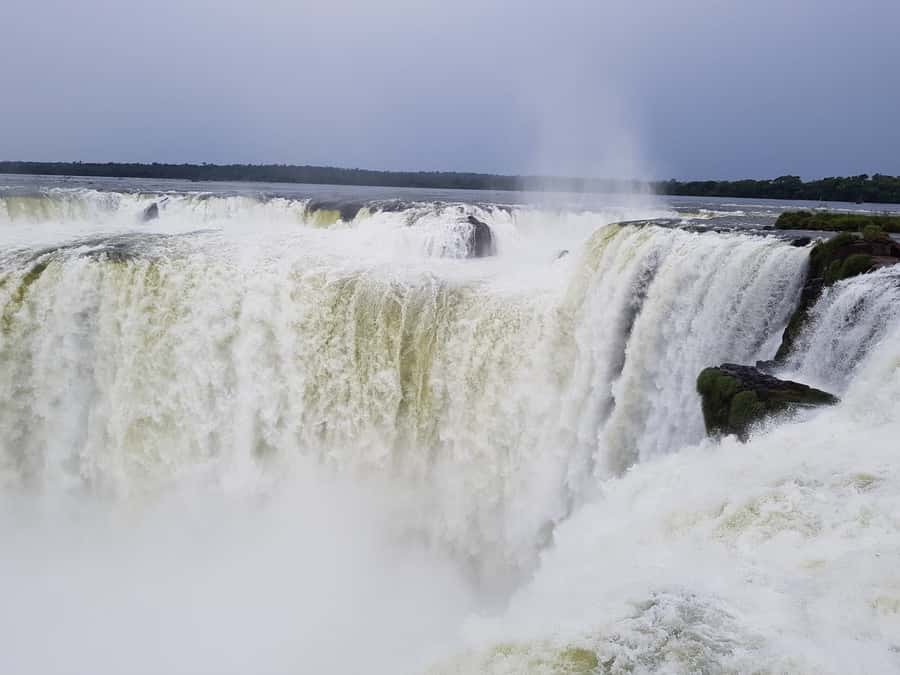From Foz do Iguaçu: Tour to Argentinian Falls - The guide can make or break the day