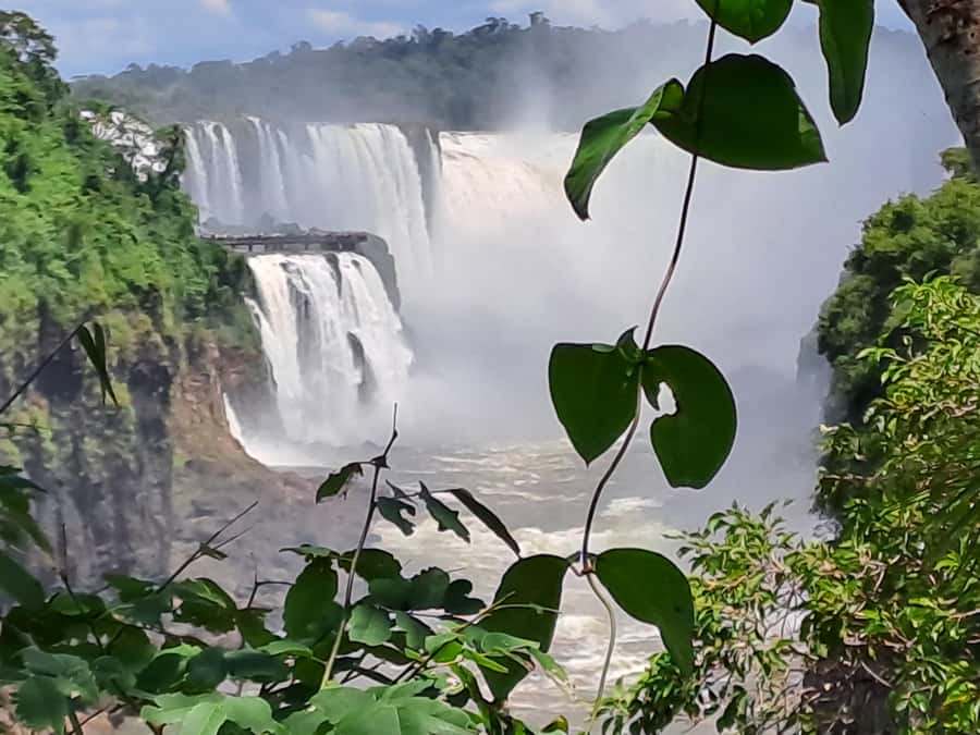 From Foz do Iguaçu: Tour to Argentinian Falls - Timing, food, and what to carry