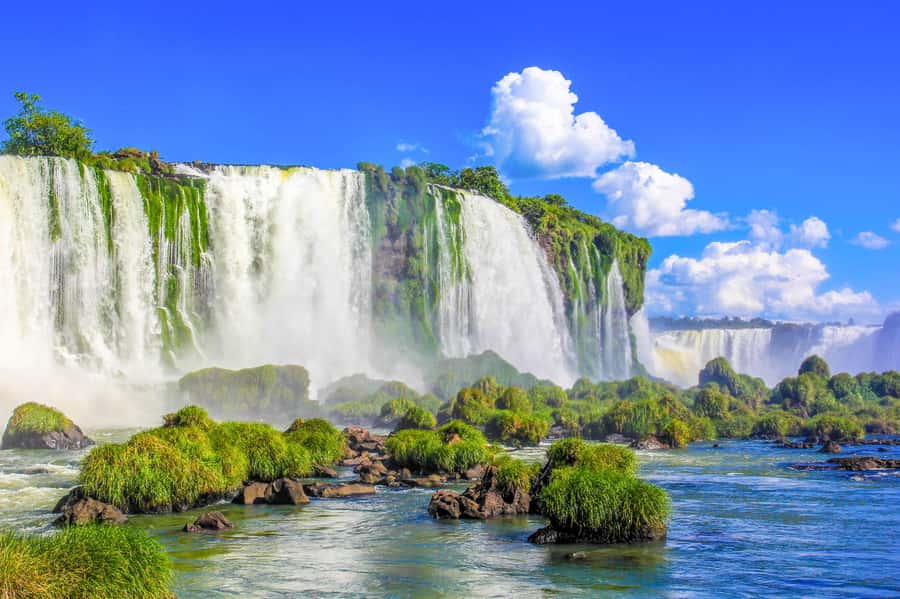 From Foz do Iguazu: Brazil Iguazu Falls & Macuco Safari Boat - The electric ride and 500-meter forest walk