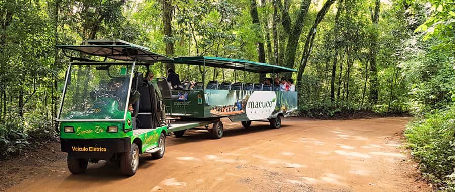 From Foz do Iguazu: Brazil Iguazu Falls & Macuco Safari Boat - Who will enjoy this day most