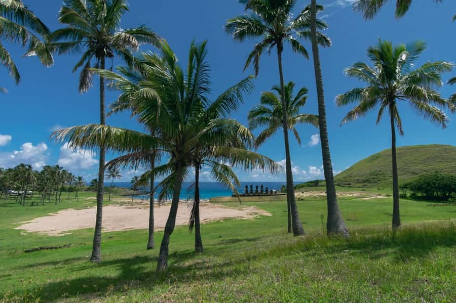 From Hanga Roa: Easter Island Highlights 2-Day Tour - Day two: cliffs, red stone, and island caves