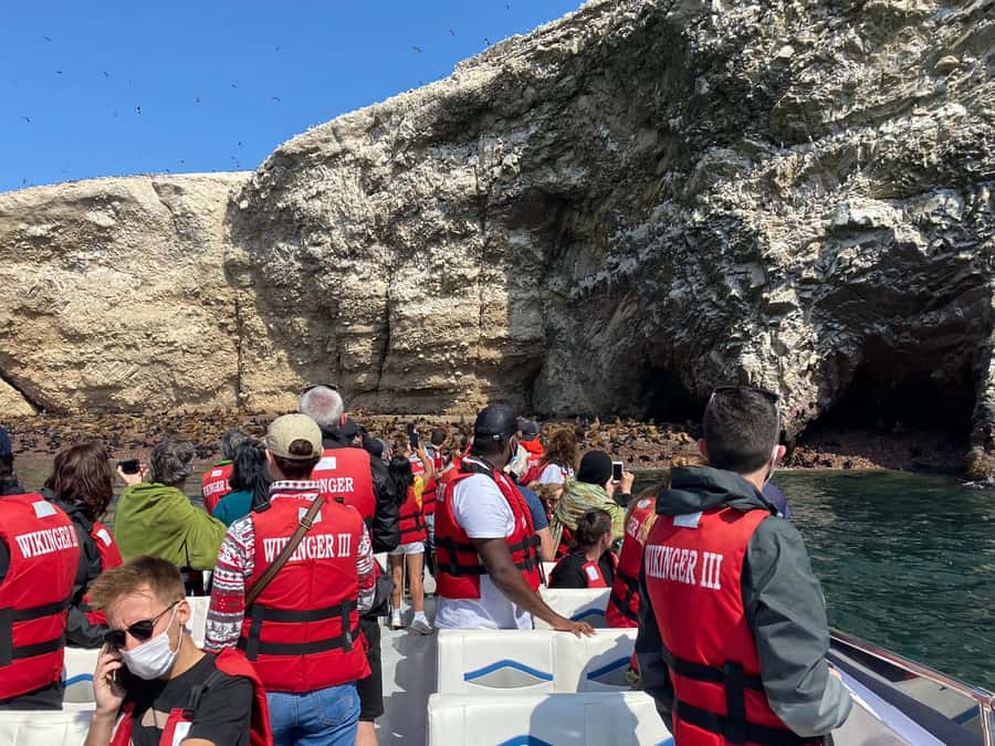 From Huacachina: Ballestas and Paracas Reserve - GROUP TOUR - Should you book the Ballestas and Paracas group tour?