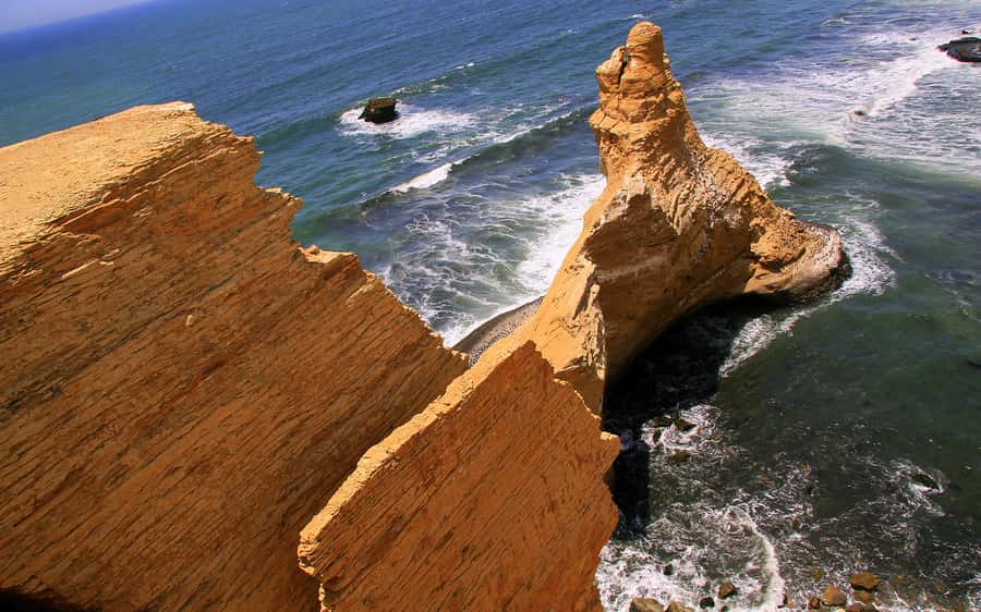 From Huacachina: Ballestas and Paracas Reserve - GROUP TOUR - From Huacachina to the Pacific coast