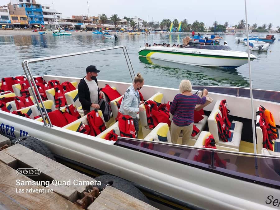 From Huacachina: Ballestas and Paracas Reserve - GROUP TOUR - Guides, languages, and group size
