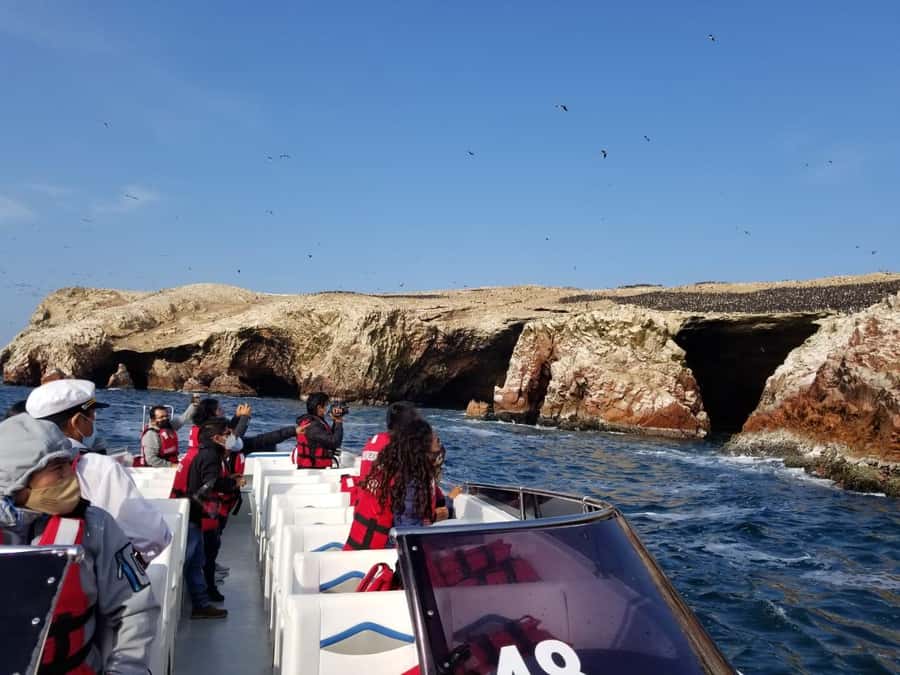 From Huacachina: Ballestas and Paracas Reserve - GROUP TOUR - Who will enjoy this day trip most?