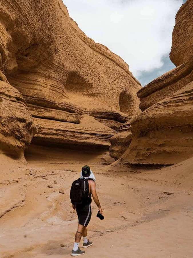 From Ica | Huacachina : Canyon de Los Perdidos | Full Day - The return stop for pisco and wine