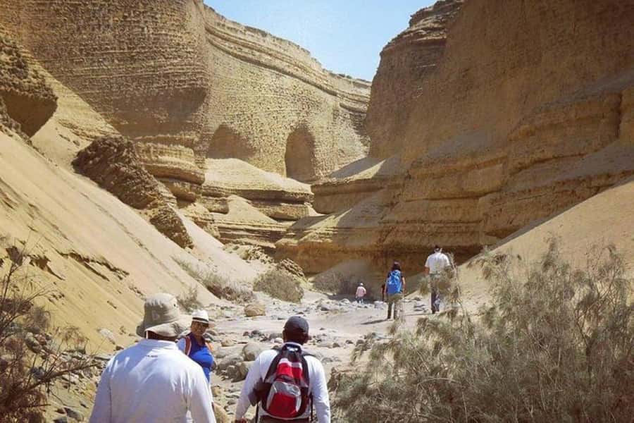 From Ica | Huacachina : Canyon de Los Perdidos | Full Day - Transport comfort and timing